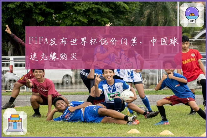 FIFA发布世界杯低价门票，中国球迷无缘购买