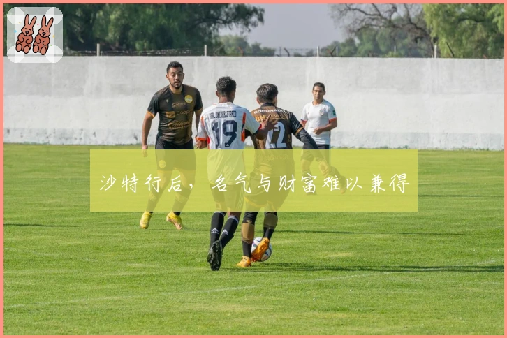 沙特行后，名气与财富难以兼得