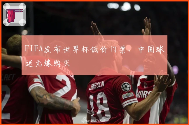 FIFA发布世界杯低价门票，中国球迷无缘购买