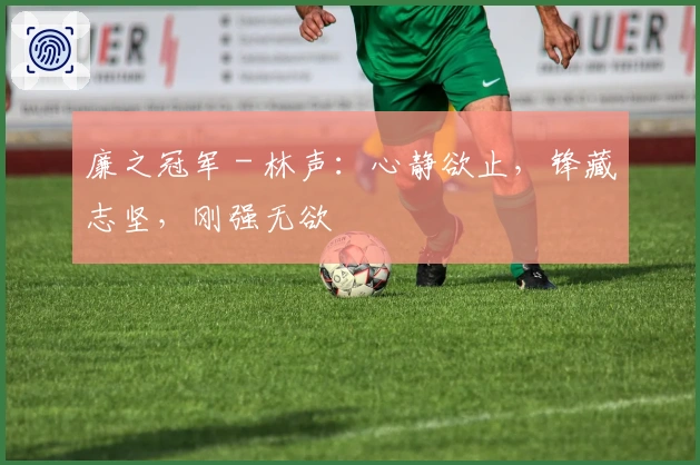 廉之冠军 - 林声：心静欲止，锋藏志坚，刚强无欲